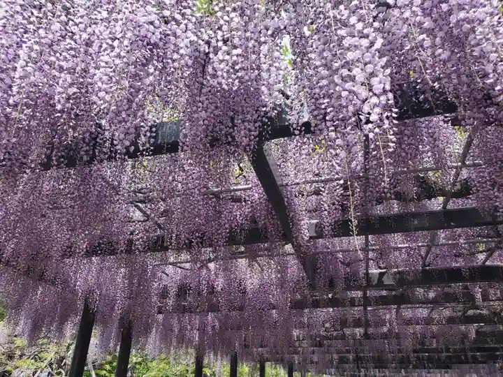 大天白神社(埼玉県)