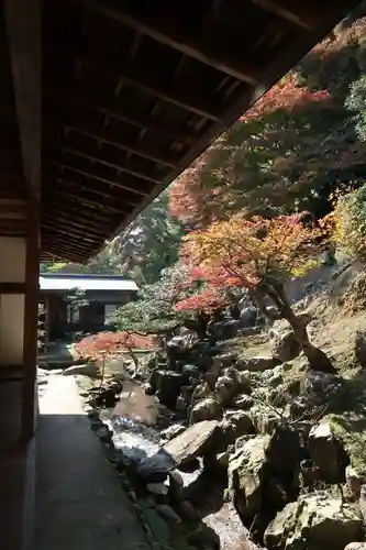 正法寺(京都府)