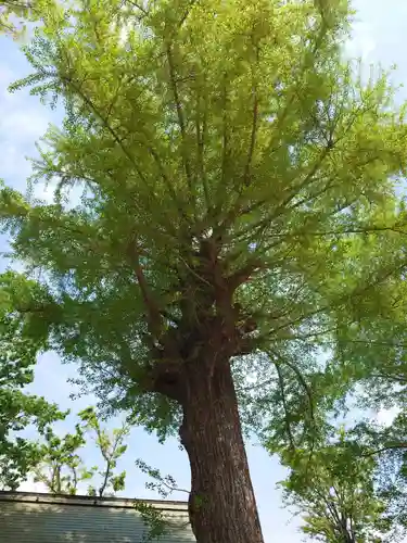 蘇我比咩神社(千葉県)