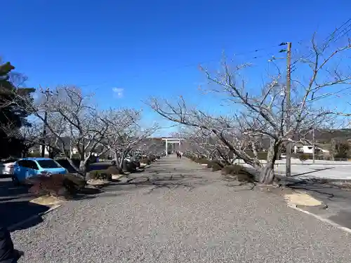 安房神社(千葉県)