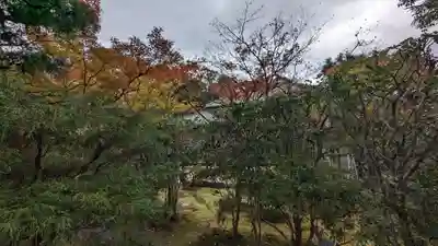 霊源寺(京都府)