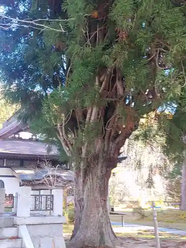 円蔵寺(福島県)