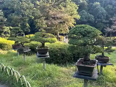 明治神宮(東京都)