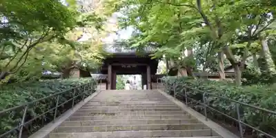 円覚寺の山門・神門
