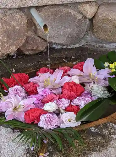生田神社(兵庫県)