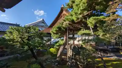 大覚寺(京都府)