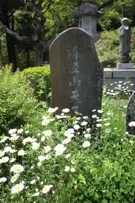 天正寺のその他建物