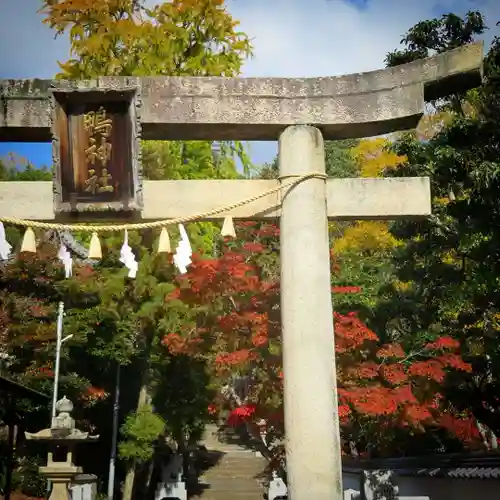 鴨神社の鳥居