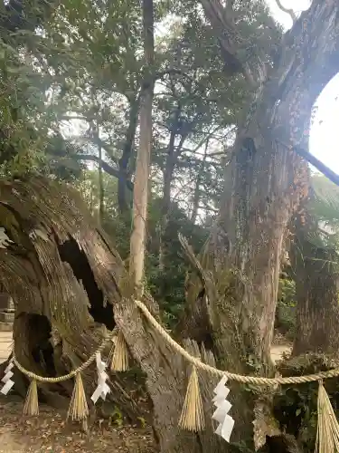 大山祇神社の{uncategorized: "未分類", other: "その他", undefined: "問題あり", building: "その他建物", grave: "お墓", sacred_gate: "鳥居", guardian: "狛犬", statue: "像", buddha: "仏像", history: "歴史", nature: "自然", garden: "庭園", animal: "動物", pagoda: "塔", temizu: "手水舎", mountain_gate: "山門・神門", sanctuary: "本殿・本堂", subordinate: "末社・摂社", art: "芸術", scenery: "景色", jizo: "地蔵", ema: "絵馬", goshuin: "御朱印", omikuji: "おみくじ", items: "授与品その他", amulet: "お守り", goshuincho: "御朱印帳", eats: "食事", festival: "お祭り", votive_dance: "神楽", shichigosan: "七五三参", wedding: "結婚式", experience: "体験その他", initially: "初詣", around: "周辺", anti_infection: "感染症対策"}