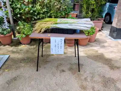 川越八幡宮(埼玉県)