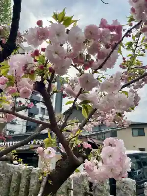出世稲荷神社の{uncategorized: "未分類", other: "その他", undefined: "問題あり", building: "その他建物", grave: "お墓", sacred_gate: "鳥居", guardian: "狛犬", statue: "像", buddha: "仏像", history: "歴史", nature: "自然", garden: "庭園", animal: "動物", pagoda: "塔", temizu: "手水舎", mountain_gate: "山門・神門", sanctuary: "本殿・本堂", subordinate: "末社・摂社", art: "芸術", scenery: "景色", jizo: "地蔵", ema: "絵馬", goshuin: "御朱印", omikuji: "おみくじ", items: "授与品その他", amulet: "お守り", goshuincho: "御朱印帳", eats: "食事", festival: "お祭り", votive_dance: "神楽", shichigosan: "七五三参", wedding: "結婚式", experience: "体験その他", initially: "初詣", around: "周辺", anti_infection: "感染症対策"}