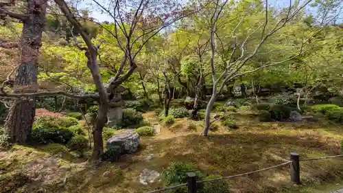 圓光寺(京都府)