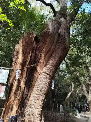 生田神社(兵庫県)