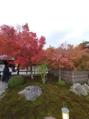 圓光寺(京都府)