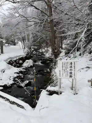 松尾院の御朱印