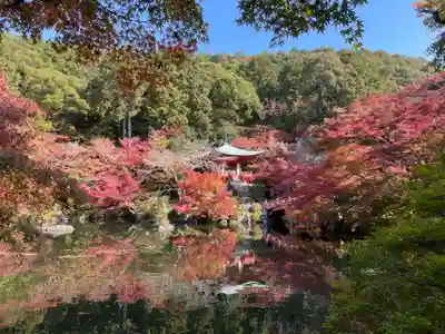 醍醐寺(京都府)