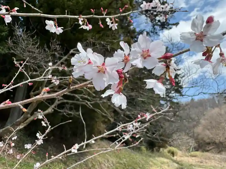 鹿島大神宮の御朱印
