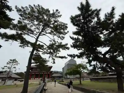 興福寺の{uncategorized: "未分類", other: "その他", undefined: "問題あり", building: "その他建物", grave: "お墓", sacred_gate: "鳥居", guardian: "狛犬", statue: "像", buddha: "仏像", history: "歴史", nature: "自然", garden: "庭園", animal: "動物", pagoda: "塔", temizu: "手水舎", mountain_gate: "山門・神門", sanctuary: "本殿・本堂", subordinate: "末社・摂社", art: "芸術", scenery: "景色", jizo: "地蔵", ema: "絵馬", goshuin: "御朱印", omikuji: "おみくじ", items: "授与品その他", amulet: "お守り", goshuincho: "御朱印帳", eats: "食事", festival: "お祭り", votive_dance: "神楽", shichigosan: "七五三参", wedding: "結婚式", experience: "体験その他", initially: "初詣", around: "周辺", anti_infection: "感染症対策"}