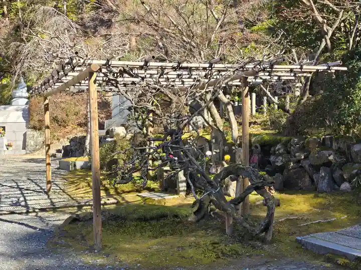 今熊野観音寺(京都府)