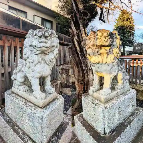 岩槻久伊豆神社の狛犬
