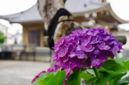 福王山  慈眼寺の自然