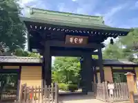 豪徳寺(東京都)