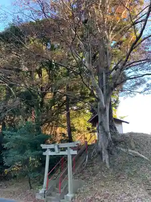 子安神社(千葉県)