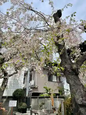 青雲寺(東京都)
