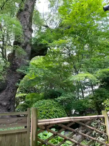 三嶋大社の{uncategorized: "未分類", other: "その他", undefined: "問題あり", building: "その他建物", grave: "お墓", sacred_gate: "鳥居", guardian: "狛犬", statue: "像", buddha: "仏像", history: "歴史", nature: "自然", garden: "庭園", animal: "動物", pagoda: "塔", temizu: "手水舎", mountain_gate: "山門・神門", sanctuary: "本殿・本堂", subordinate: "末社・摂社", art: "芸術", scenery: "景色", jizo: "地蔵", ema: "絵馬", goshuin: "御朱印", omikuji: "おみくじ", items: "授与品その他", amulet: "お守り", goshuincho: "御朱印帳", eats: "食事", festival: "お祭り", votive_dance: "神楽", shichigosan: "七五三参", wedding: "結婚式", experience: "体験その他", initially: "初詣", around: "周辺", anti_infection: "感染症対策"}