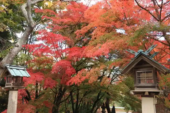 三春大神宮の庭園