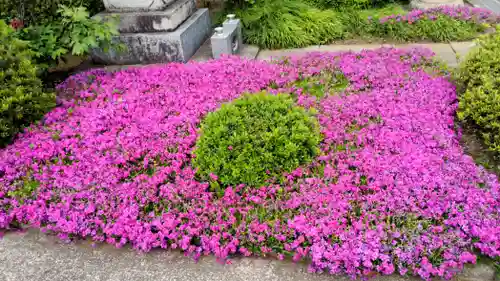 少林寺(埼玉県)