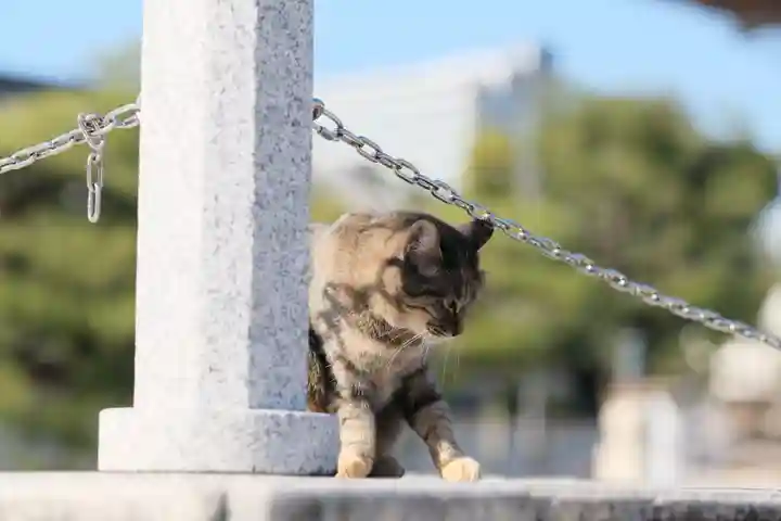 四天王寺の動物
