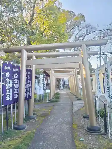 白金龍王社(愛知県)