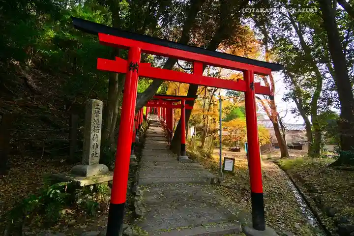 賀茂別雷神社(上賀茂神社)(京都府)