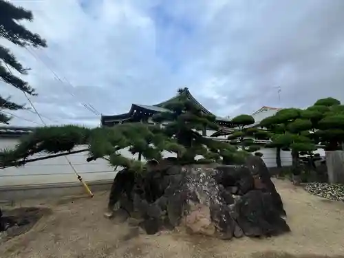 大聖観音寺（あびこ観音）(大阪府)