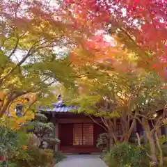 普元寺(愛知県)