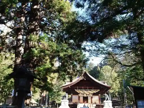 諏訪大社下社秋宮のその他建物