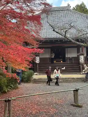常照寺(京都府)