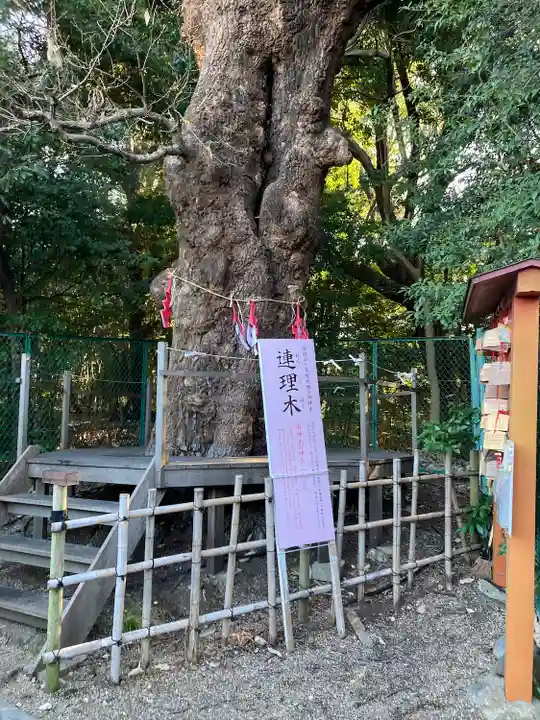 城山八幡宮(愛知県)