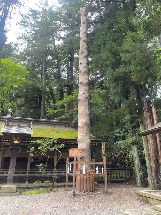 諏訪大社下社春宮(長野県)