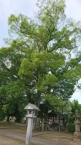 大神神社（花池）のその他建物