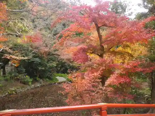 鶴岡八幡宮の庭園