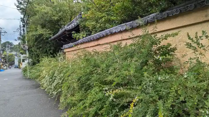 迎稱寺(迎称寺)(京都府)