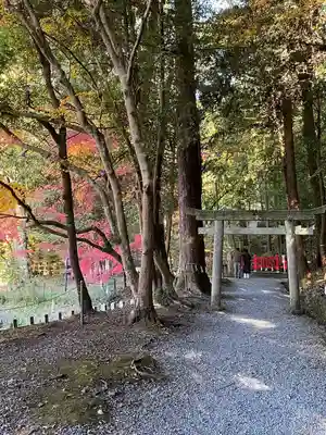 出雲大神宮(京都府)