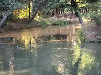 龍泉寺(大阪府)