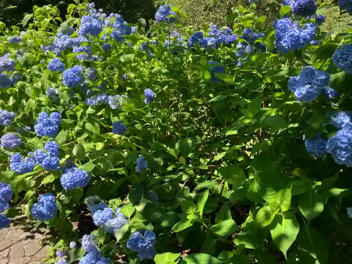 有珠善光寺(北海道)