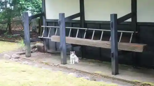 大乗寺(石川県)