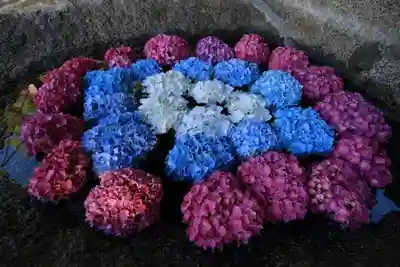 田村神社の手水舎