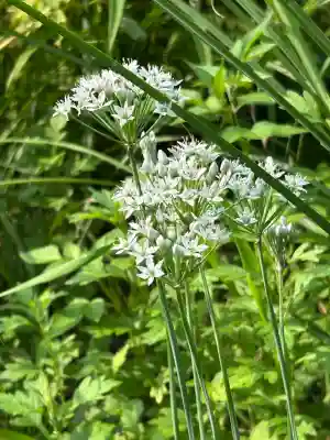国宝 大法寺(長野県)