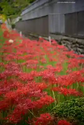 横浜　西方寺(神奈川県)